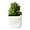 Dekorácie